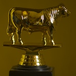 Golden Bull Awards 2009